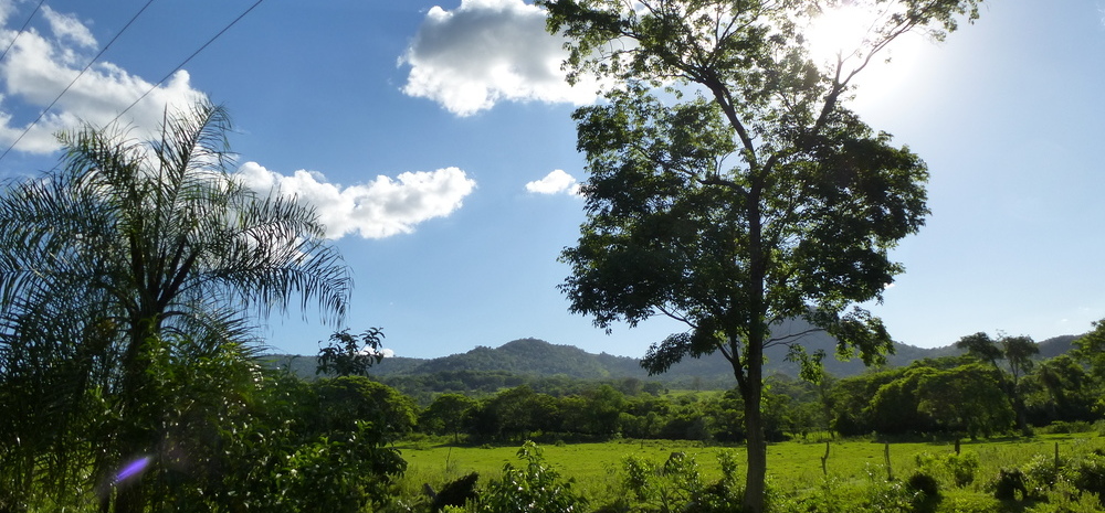 Die Landschaft Paraguays