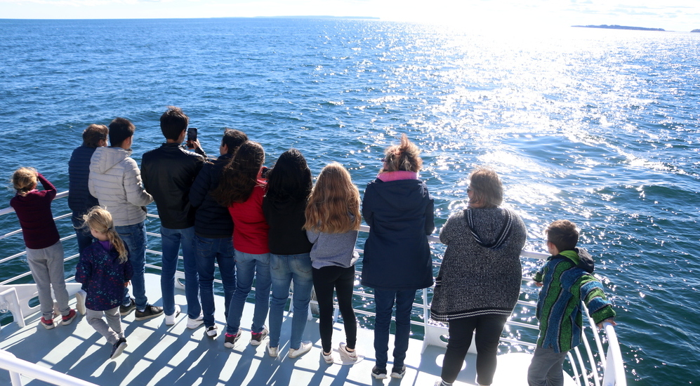 Whalewatching in Kanada