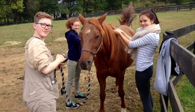 ...bis auf die Farm und...