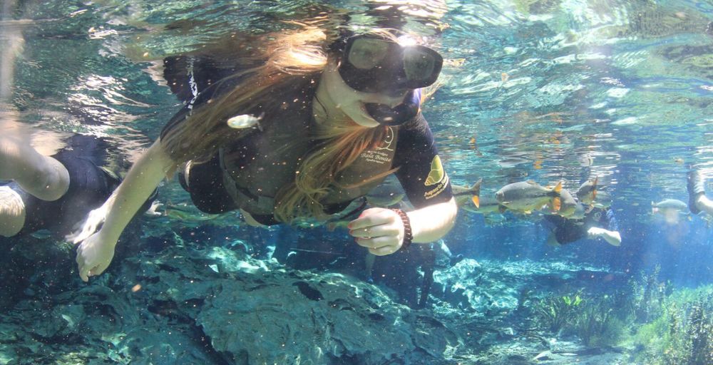 Zum Erfahrungsbericht von Lisa in Brasilien