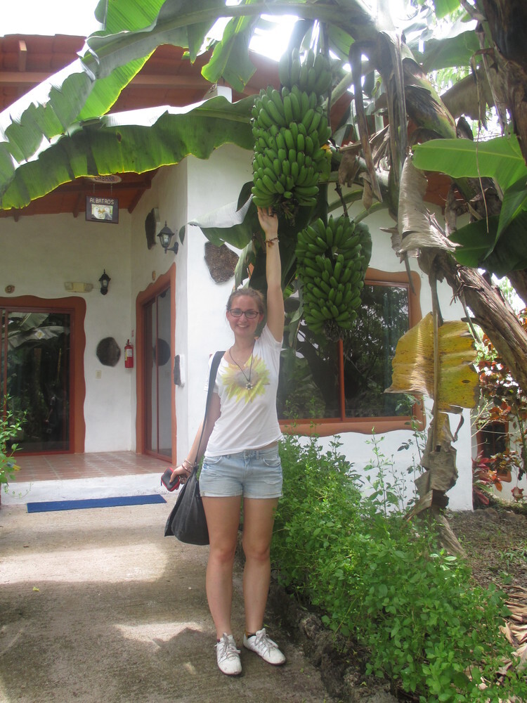Obst wächst vor Vanessas Haustür