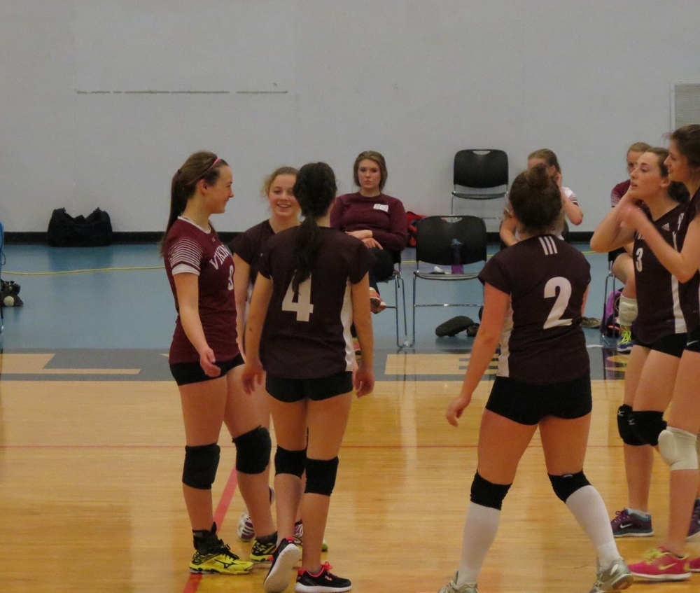 Ninas Volleyball-Team