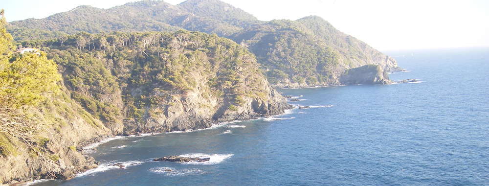 Calanques bei Marseille