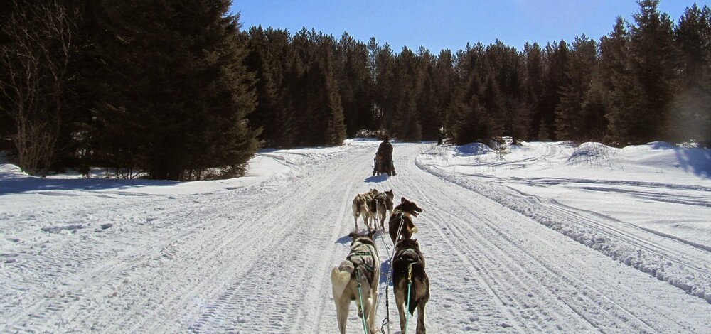 Hundeschlittenfahren