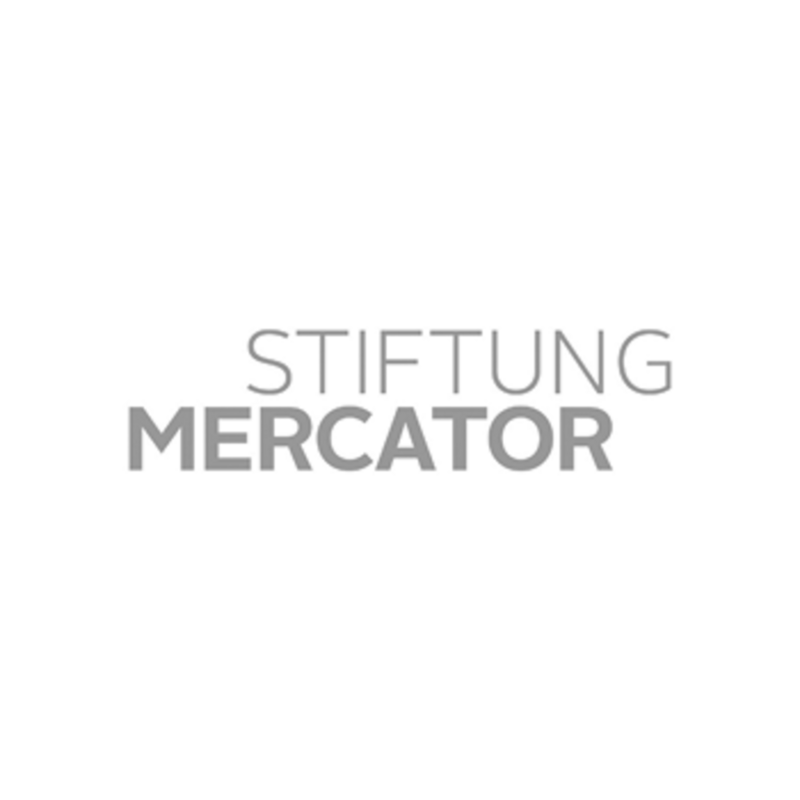 Logo Stiftung Mercator