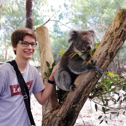 Austauschschüler in Australien mit Koala