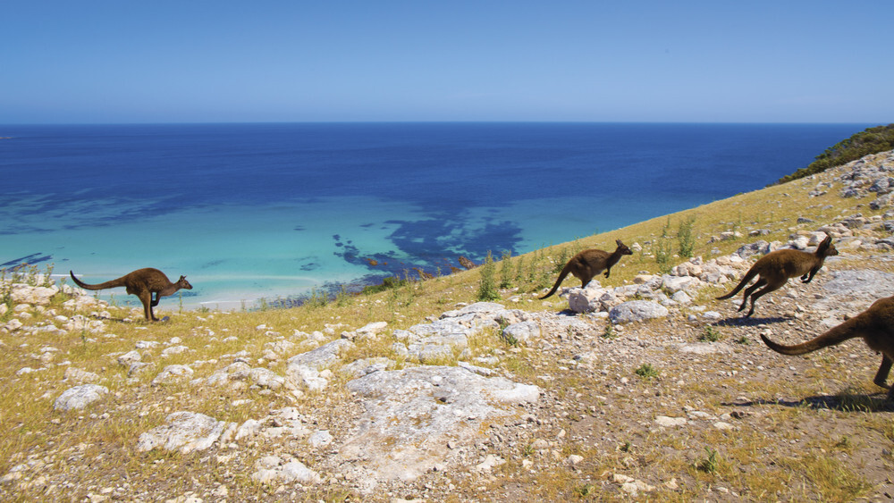 Die atemberaubende Landschaft Australiens